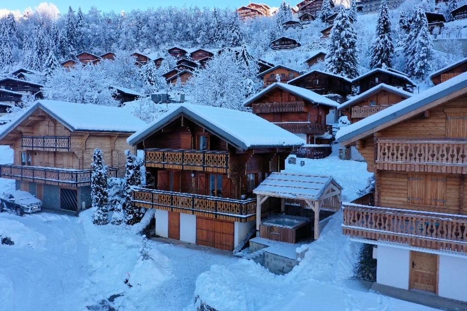 Chalet Individuel 8 Pers A Chatel Porte Du Soleil Avec Jacuzzi Exterieur Dış mekan fotoğraf